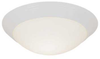 Flush Mounts-Bowl Style - 68602 - Light Center (The)