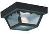 Two-Light Outdoor Ceiling Light Fixture - 7569-32 - bulbs.com