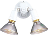 Exterior -Spot Lights - 231319 - Light Center (The)