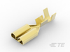 Quick Disconnects - 170031-1 - TE Connectivity