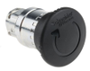 Push Button Heads - 6092594 - RS Components, Ltd.