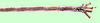 399-10C20SIG - Image