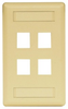 Datacommunication Face Plate - IFP14TI - Hubbell Incorporated