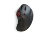 Trackballs -- 2675486 - Image