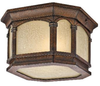 Exterior -Ceiling Mount - 325096 - Light Center (The)