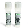 SsoFast&trade; Probes Supermix - 172-5230 - Bio-Rad Laboratories, Inc.