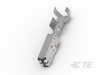 Automotive Terminals - 1703035-1 - TE Connectivity