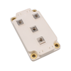 Discrete Semiconductor Products - Diodes - Bridge Rectifiers - MSCDC100H170AG - Acme Chip Technology Co., Limited
