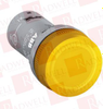 Pilot Light - 58726844 - Radwell International