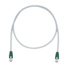Modular/Ethernet Cables (RJ45, RJ11) - STPCH15MBGR-ND - DigiKey