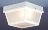 SL7598 Exterior -Ceiling Mount - 784542 - Capital Lighting, Inc.