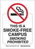 No Smoking Sign - 123933 - Brady Corporation