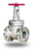 Premium Wedge Gate Valves -- DSI-WG Series - Image
