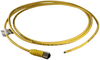 Single Ended Sensor Cordset, M12 4 Position Female, 2M; Connector Type A Lumberg Automation - 05X9052 - Newark, An Avnet Company