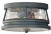 Outdoor Ceiling Light - OL8113STC - Generation Brands