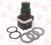 Pilot Light - 74186992 - Radwell International