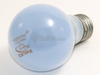 100 Watt, 120 Volt A19 Natural Daylight Bulb -- 135616 - Image