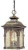 Exterior -Hanging - 58090 - Light Center (The)