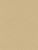 Embassy Fabric - 5063/02 - Pollack