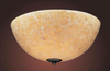 8899/2 Flush Mounts-Bowl Style - 499017 - Capital Lighting, Inc.