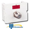 Siemon Flat Coax CT Coupler with 1 F-type Adapter - CT-FA-02 - TelephoneStuff.com