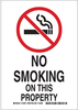 No Smoking Sign - 123943 - Brady Corporation