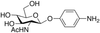 4-Aminophenyl 2-Acetamido-2-deoxy-β-D-glucopyranoside.. - 19832 - Medical Isotopes, Inc.