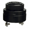Audio Products - Alarms, Buzzers, and Sirens - SC616MN - Acme Chip Technology Co., Limited