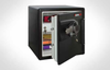 Biometric FIRE-SAFE&reg; -- DSW3920 - Image