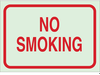 Glow-In-The-Dark Fire & Exit Sign - 85483 - Brady Corporation