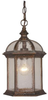 Exterior -Hanging - 58085 - Light Center (The)