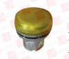Pilot Light - 956531 - Radwell International