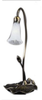 14043 Lamps-Accent Lamps - 721713 - Capital Lighting, Inc.
