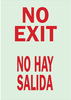 Glow-in-the-Dark Safety Sign - 90521 - Brady Corporation