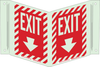 Brady Bradyglo B-347 Polyester / Polystyrene Rectangle Green Exit Sign - 9 in Width x 12 in Height - Glow in the Dark - TEXT: EXIT - 94022 - 754476-94022 - R. S. Hughes Company, Inc.