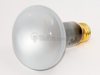 75 Watt, 120 Volt R25 Halogen Flood Reflector Bulb -- A36811 - Image