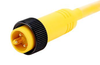 Sensor Cord, 7/8 Plug-Free End, 16.4 ; Connector Type A Amphenol Sine/tuchel - 47AC7637 - Newark, An Avnet Company