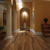 Appalachian Highlands Ember Hickory - APPARHBE45 - Hardwood Brokers Corp.