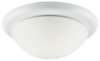 Flush Mounts-Bowl Style - 296631 - Light Center (The)