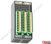 Digital Output Module - DO232 - Classic Automation LLC