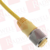 QD Cable/Cord Set - 146438934 - Radwell International