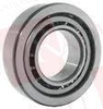 Bearing -- 81776744