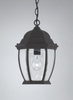 Exterior -Hanging - 202085 - Light Center (The)