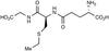 S-Ethylglutathione - 10093 - Medical Isotopes, Inc.