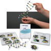 Advanced Molecular Model of DNA and its Replication Kit -- LA71-A - Image