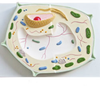 Plant Cell Model - B10305 - Parco Scientific Company