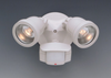 PH218S-06 Exterior -Spot Lights - 723888 - Capital Lighting, Inc.