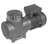 KNF ATEX Explosion-Proof Vacuum Pump, SS/PTFE; 7.69cfm/27