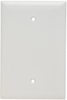 Blank Plate, Box Mounted, One Gang, White -- SPO13W - Image