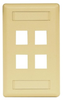Datacommunication Face Plate - IFP14EI - Hubbell Incorporated